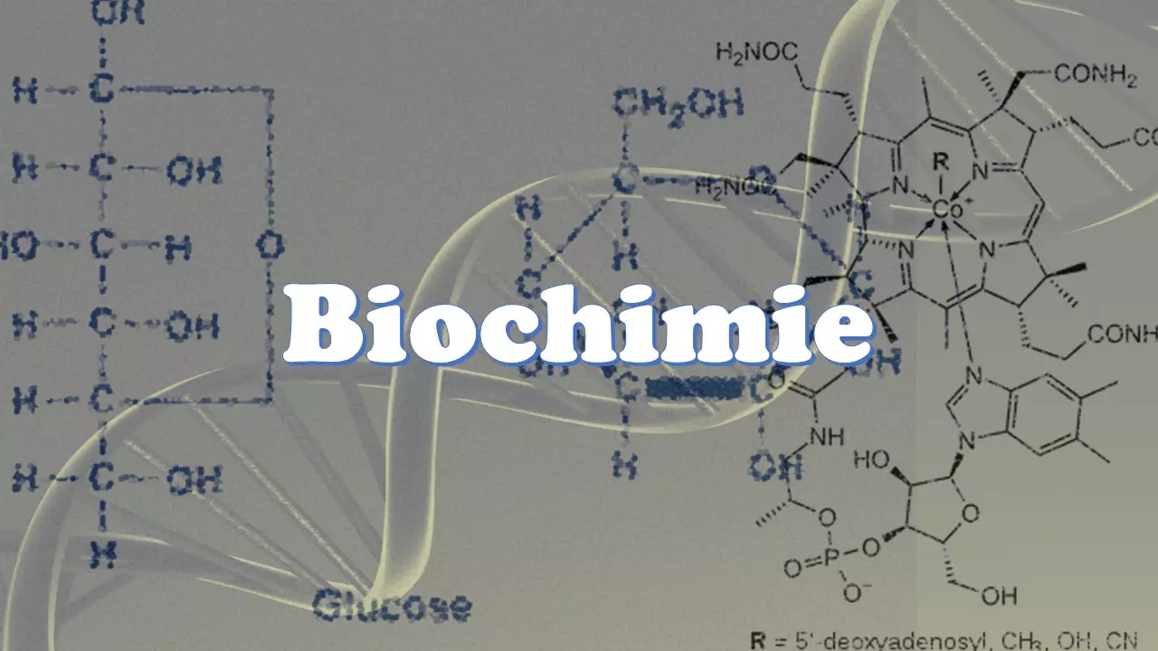 BIOCHIMIE ET TP